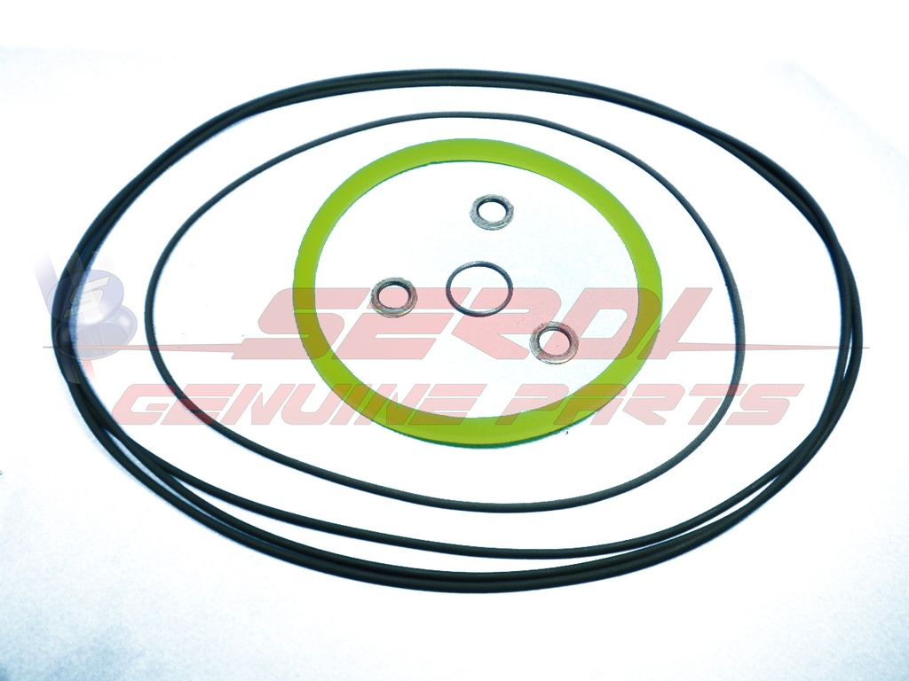 GASKETS REPAIR KIT FOR SERDI SPHERE