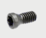 [025163] VIS TORX PLUS M2x4,9 - T6 IP POUR PLAQUETTE TRIANGULAIRE